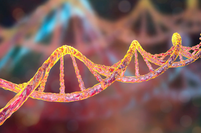 Khám Phá Whole Exome Sequencing (WES) - 2024: Công Nghệ Đột Phá Trong Chẩn Đoán Bệnh Hiếm và Y Học Cá Thể Hóa