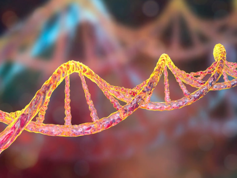 Khám Phá Whole Exome Sequencing (WES) - 2024: Công Nghệ Đột Phá Trong Chẩn Đoán Bệnh Hiếm và Y Học Cá Thể Hóa